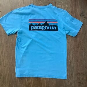 Patagonia Blue Graphic Tee, M